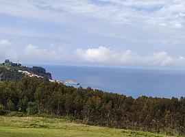 Ecologistas rechazan el aumento de ocalitos invasores en los montes asturianos