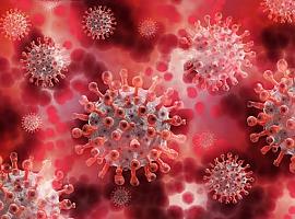 Un análisis de sangre permite seguir la evolución de los infectados por coronavirus
