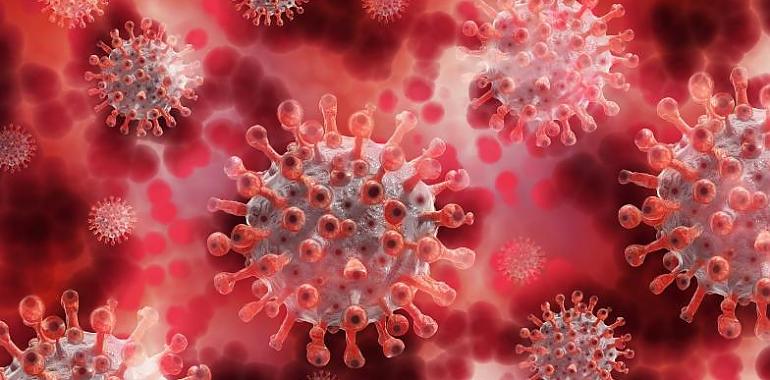 443 nuevos casos de coronavirus sin muertes por la covid en Asturias