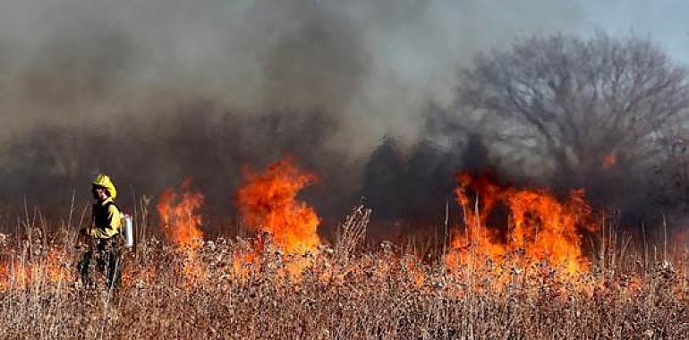 ¿Por qué parece que ahora hay más incendios forestales que antes