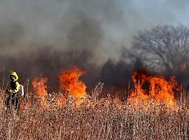 ¿Por qué parece que ahora hay más incendios forestales que antes
