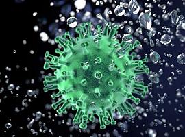 538 nuevos casos de coronavirus en Asturias tras el adelante al contagio del TC