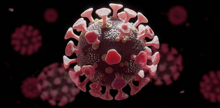 384 nuevos casos de coronavirus y dos fallecidas por la covid en Asturias