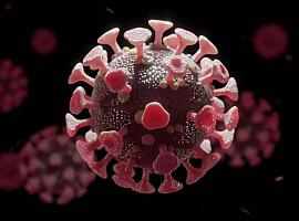 384 nuevos casos de coronavirus y dos fallecidas por la covid en Asturias