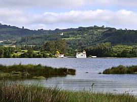  Se pone en marcha un plan para recuperar los humedales y porreos de la reserva natural de la ría de Villaviciosa