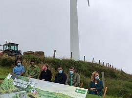 ¿Se puede compatibilizar la energía eólica en el entorno rural con la actividad ganadera y turística