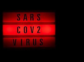 175 nuevos casos de coronavirus en Asturias, en una jornada sin más muertes covid