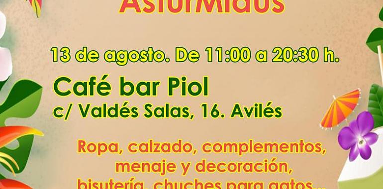 Mercadillo solidario a favor de AsturMiaus en Avilés