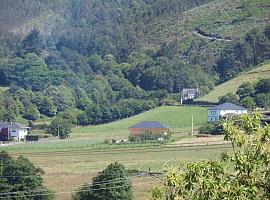 Salen a licitación por casi un millón de euros las obras de la red de caminos de la concentración parcelaria de los montes de Anleo, en Navia