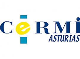 CERMI-Asturias exige que se agilicen los procesos de valoración del grado de discapacidad 