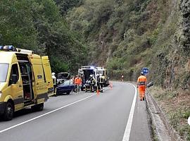 Herido tras una salida de vía cerca del embalse de Pilotuerto, en Tineo