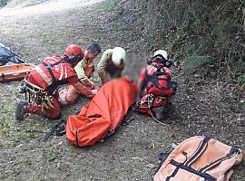 El equipo de rescate tuvo que volver a intervenir ayer en Cangas del Narcea