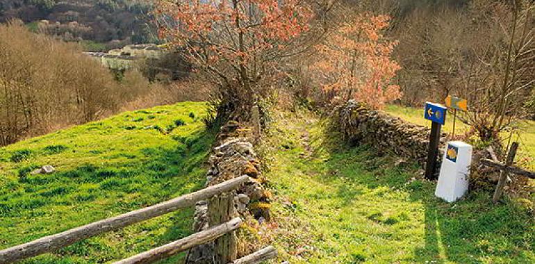 Sariego acoge la exposición "La ruta de las estrellas. El camino de Santiago en la Edad Media" 