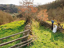 Sariego acoge la exposición "La ruta de las estrellas. El camino de Santiago en la Edad Media" 