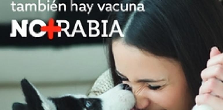 España se encuentra en riesgo de sufrir un brote de rabia