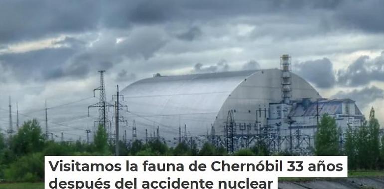 1,6 millones se acercan a la fauna de Chernobil vista por Germán Orizaola