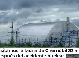 1,6 millones se acercan a la fauna de Chernobil vista por Germán Orizaola