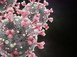 Sólo 7 nuevos casos de coronavirus detectados en Asturias