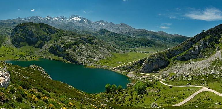 El plan especial de transporte a los Lagos de Covadonga alcanza cifras similares a las de 2019