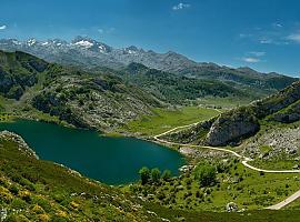 El plan especial de transporte a los Lagos de Covadonga alcanza cifras similares a las de 2019