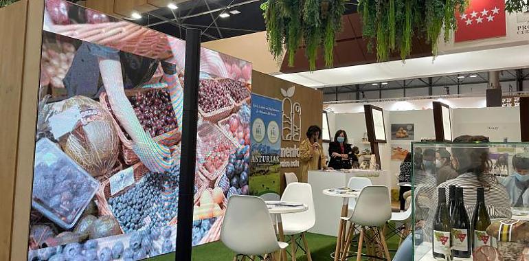El madrileño establecimiento Planeta Asturias ha recibido del distintivo de la red de comercios distribuidores de la marca Alimentos del Paraíso. 