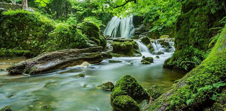 Asturias coordinará las comunidades de la España Verde para reactivar el mercado internacional