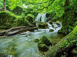 Asturias coordinará las comunidades de la España Verde para reactivar el mercado internacional