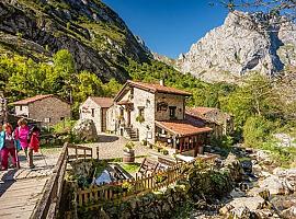 244.585 euros en ayudas para el área de influencia del Parque Nacional de los Picos de Europa