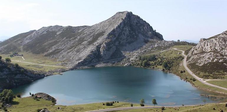 Cuando la naturaleza te sale al encuentro ¿dónde la guardas