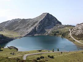 Cuando la naturaleza te sale al encuentro ¿dónde la guardas