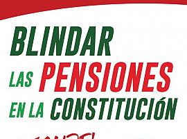 Apoyo de la MERP a la manifestación del 13N en Madrid