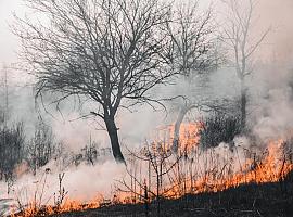 2,4 millones a entidades locales para la creación de infraestructuras de defensa contra los incendios forestales