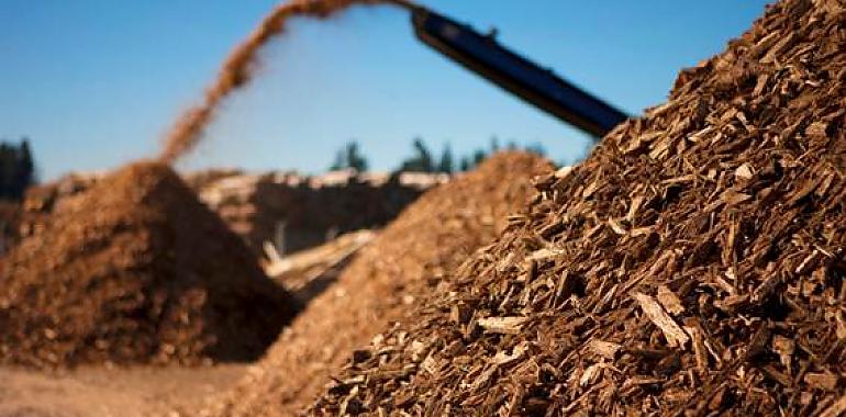 El CSIC desarrollará biorrefinerías para transformar biomasa en combustibles y productos renovables
