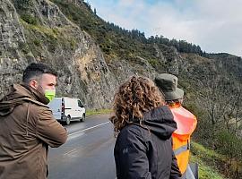 Asturias  reabre al tráfico cinco tramos de carretera cerrados por riesgo de aludes