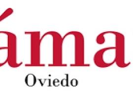 La Cámara de Comercio de Oviedo emite un comunicado en el que manifiesta su preocupación por la situación del Suroccidente de Asturias