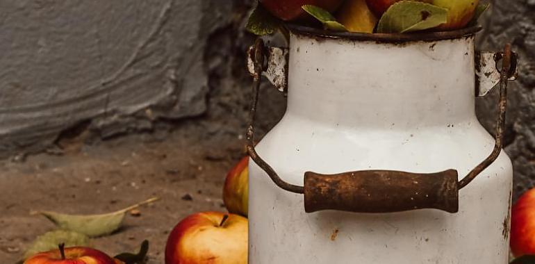 Gran primer fin de semana de "Gijon de Sidra" del que puedes seguir disfrutando hasta el domingo 12