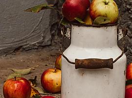 Gran primer fin de semana de "Gijon de Sidra" del que puedes seguir disfrutando hasta el domingo 12