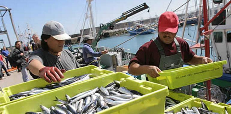 Agroganadería y la Autoridad Portuaria de Avilés intensifican sus contactos para atraer armadores a Avilés