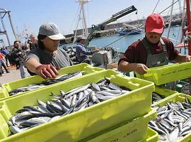 Agroganadería y la Autoridad Portuaria de Avilés intensifican sus contactos para atraer armadores a Avilés