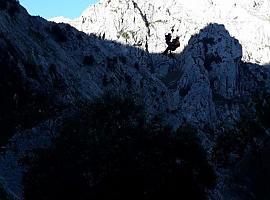 Sendos rescates de montaña en Cabrales y Laviana