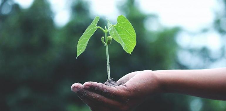 A licitación el estudio sobre el impacto del cambio climático en Asturias