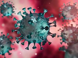 1.925 nuevos casos de coronavirus y cuatro fallecimientos covid en Asturias