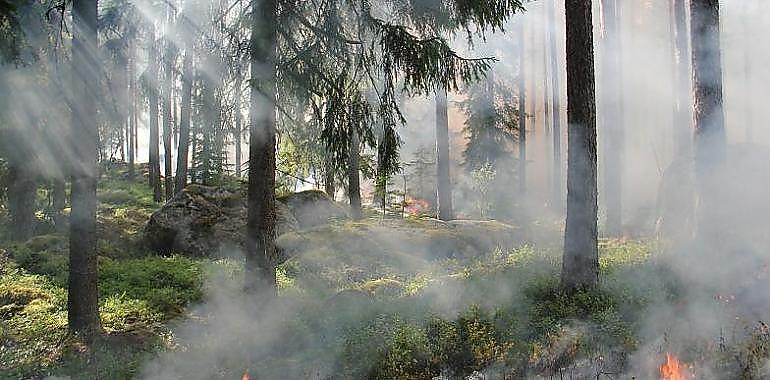 La semana africana en Asturias obliga a iniciar el protocolo ante indendios forestales