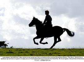 Caballo de batalla (War horse), una aventura de Steven Spielberg