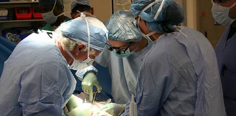 ¿Realmente hay futuro en el trasplante de órganos entre animales y personas
