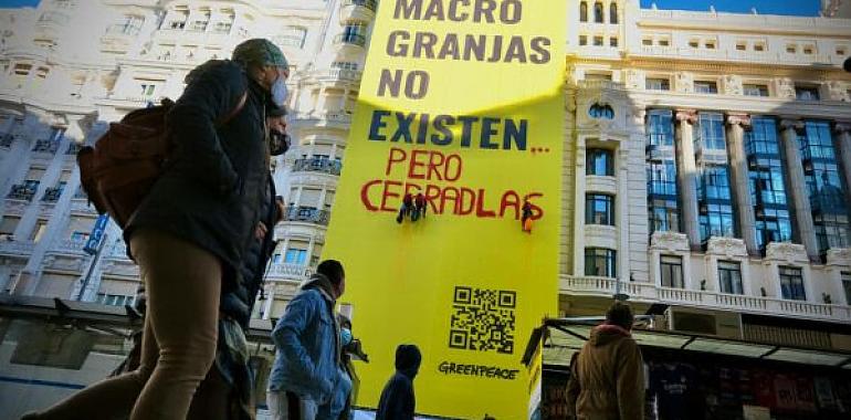 Greenpeace “trolea” su propia pancarta en Gran Vía para aumentar el eco de su mensaje contra las macrogranjas