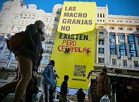 Greenpeace “trolea” su propia pancarta en Gran Vía para aumentar el eco de su mensaje contra las macrogranjas