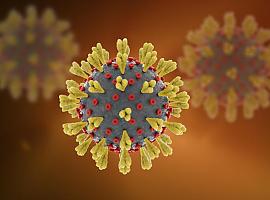 Bajan los nuevos casos de coronavirus en Asturias, lamentándose 17 muertes por covid en el fin de semana