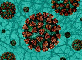 1.445 nuevos casos de coronavirus y siete muertes por covid en Asturias