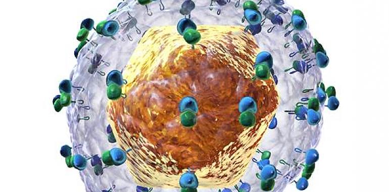 Encuentran una molécula que inhibe la replicación del virus de la hepatitis C